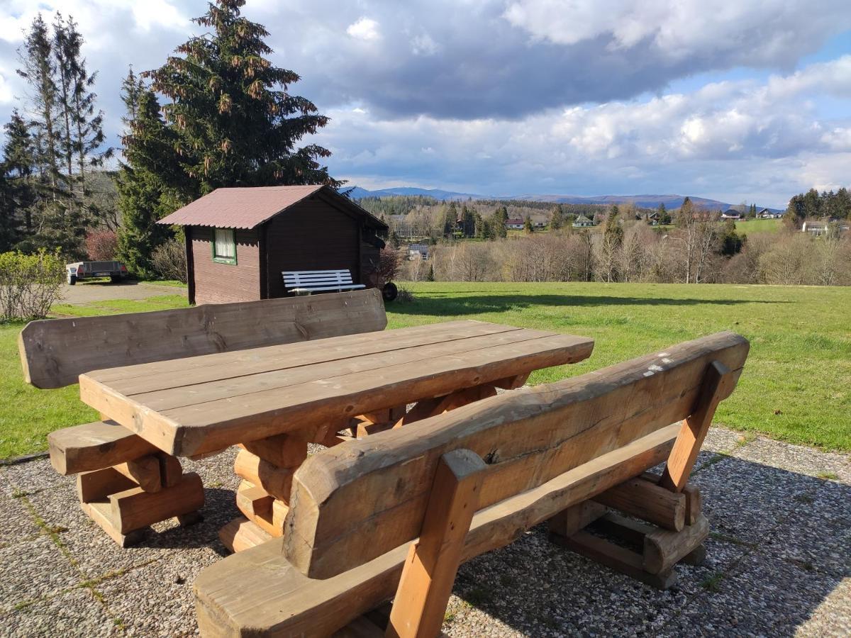 Ferienwohnung Harzluchs Mit Balkon, Netflix Und Sauna Im Haus Hohegeiss Exterior foto
