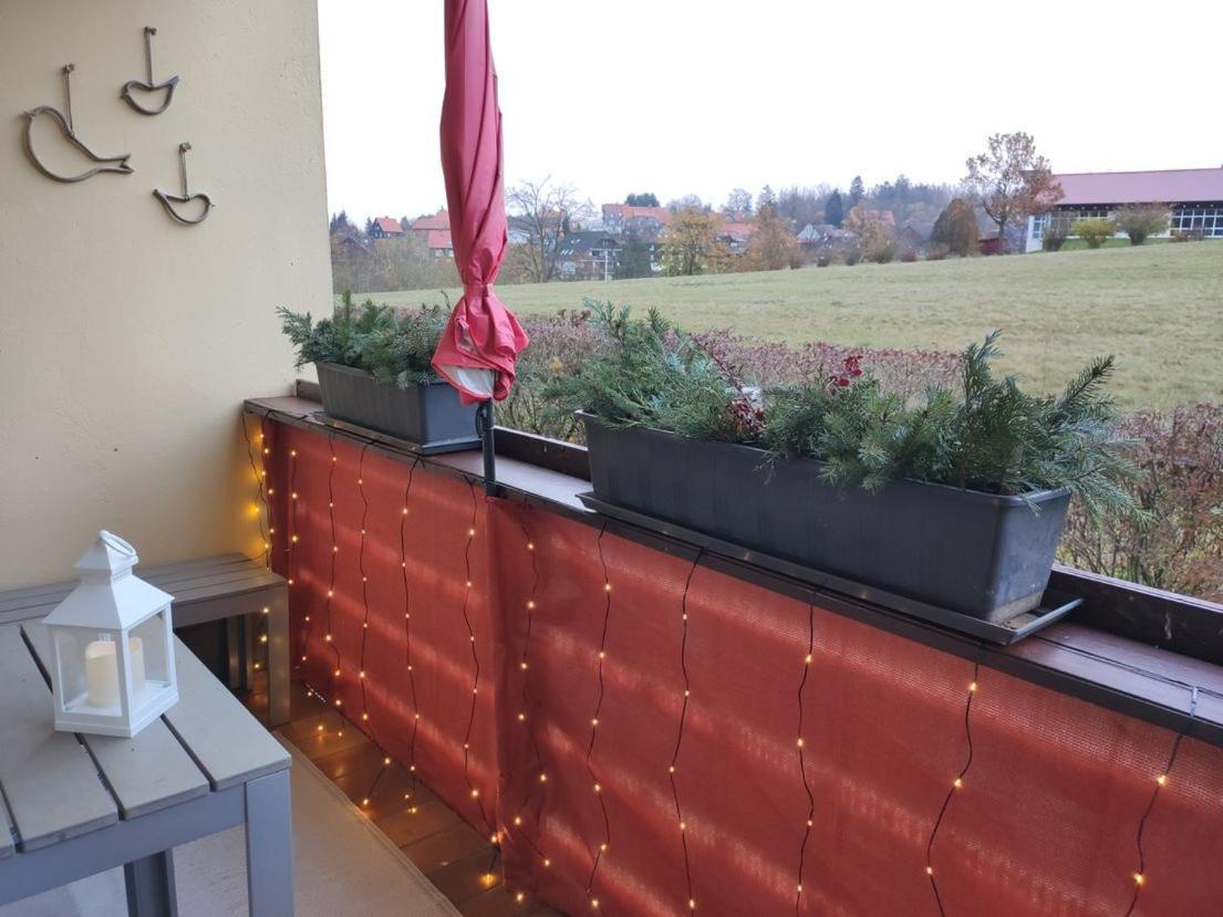 Ferienwohnung Harzluchs Mit Balkon, Netflix Und Sauna Im Haus Hohegeiss Exterior foto