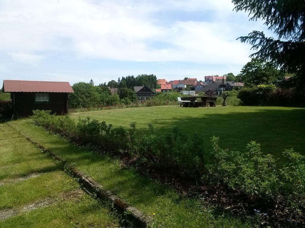 Ferienwohnung Harzluchs Mit Balkon, Netflix Und Sauna Im Haus Hohegeiss Quarto foto