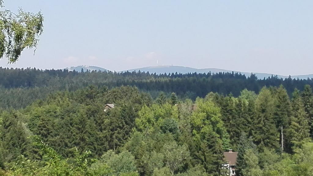 Ferienwohnung Harzluchs Mit Balkon, Netflix Und Sauna Im Haus Hohegeiss Quarto foto