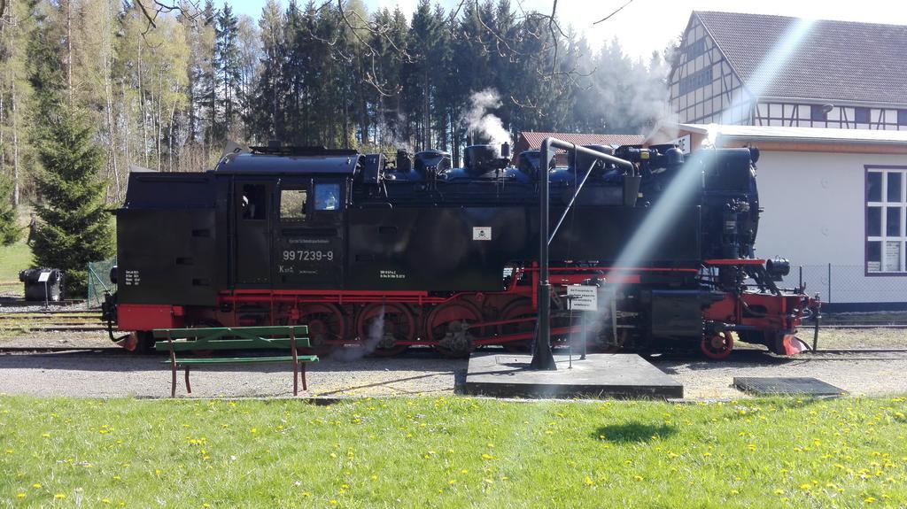 Ferienwohnung Harzluchs Mit Balkon, Netflix Und Sauna Im Haus Hohegeiss Exterior foto