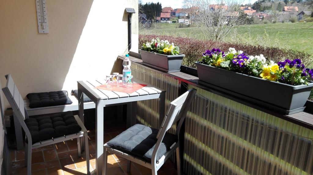 Ferienwohnung Harzluchs Mit Balkon, Netflix Und Sauna Im Haus Hohegeiss Exterior foto