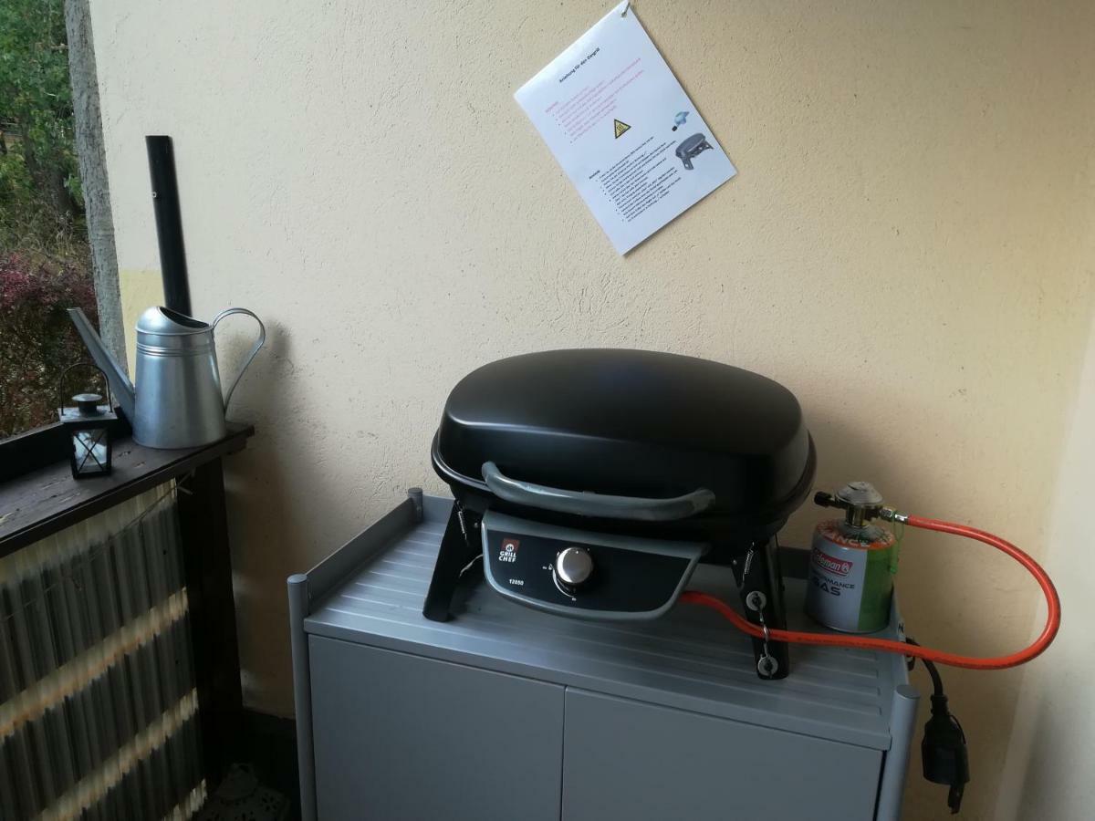 Ferienwohnung Harzluchs Mit Balkon, Netflix Und Sauna Im Haus Hohegeiss Exterior foto